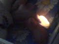 Biciklla Arti