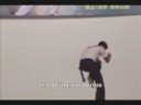 Saolim Monkey Boxing