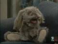 Infelices para siempre - Mr Floppy: Champú