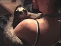 Stunt Double Animals In End of the Spear Stunt Double Animals In End of the Spear