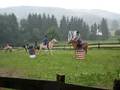 videos de Camp équestre