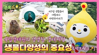 생물다양성의 중요성(팩트췤↗) ㅣ국립생태원ㅣ초록속으로 EP.04