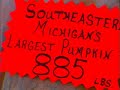 THE GREAT PUMPKIN THE GREAT PUMPKIN
