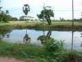 ???????????????To Siem Reap Airport,Cambodia
