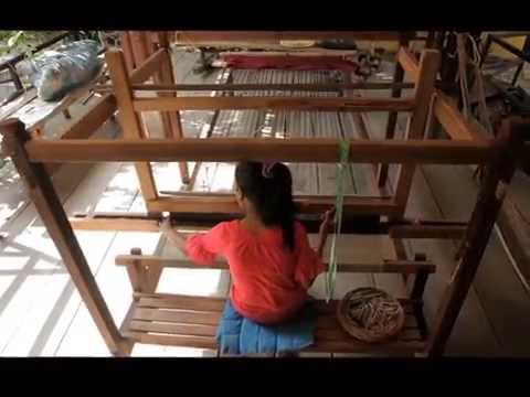 how to harvest lotus root a new beginning