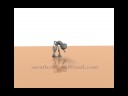 animation Demo Reel
