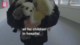 Amazing Humans: The boy who's made 800 teddies for sick children