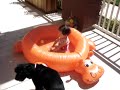 Parker playing in her kiddie pool