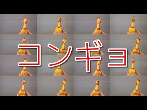 動画