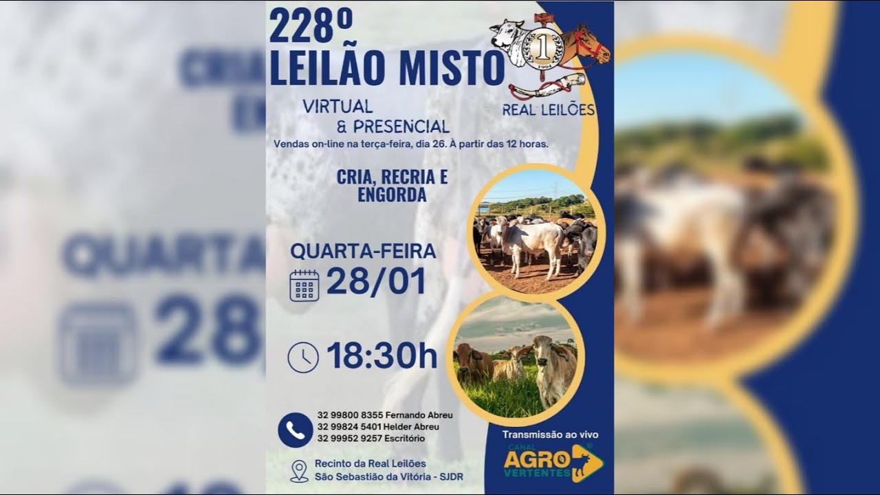 229º LEILÃO MISTO PRESENCIAL E VIRTUAL REAL LEILÕES - 04/02/2026