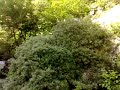 TETOVA MAZEDONIEN MIT DEN´SCHÖNSTEN BERGEN 