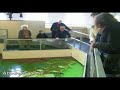Cruquius Stoomgemaal in de Haarlemmermeerpolder