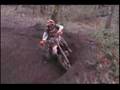 Hangover-Hare-Scramb