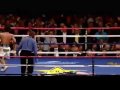 Marquez VS Mayweather - Reclaim my Place