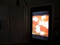 ASUS Eee PC?????? ASUS Eee PC??????