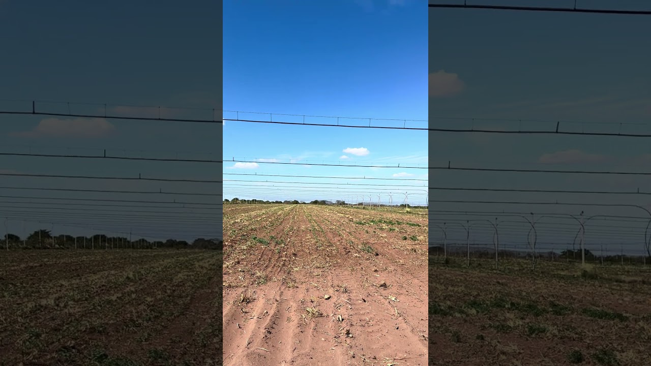 Conhecem esse sistema de irrigação?