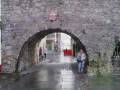 Ireland Highlights in Forty Shades of Green