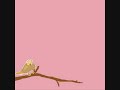 lovebird