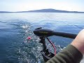 Intex Inflatable with 55 lbs trolling motor Intex Inflatable with 55 lbs trolling motor