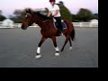 Trotting
