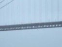 golden gate bridge of SFO