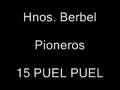 15. Puel Puel (loncomeo)