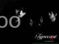 the infatuation is always there-typecast (lyrics)