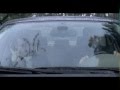 PT#2 - ILGA 'Family is Love' Gay Ad