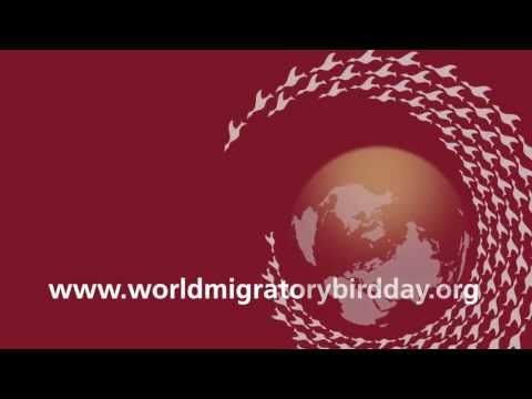 Imagen de previsualización de YouTube