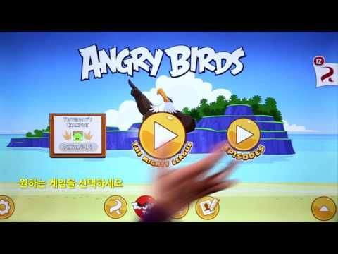앵그리 버드(Angry Birds)