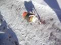 videos de Spot in winter