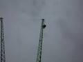 videos de Skyflyer Canadas Wonderland