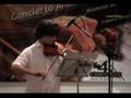 Violín - 4cuerdas - Luciano Garbini - A mi manera