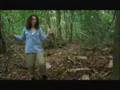 Moon Walking Manakin Bird-What a Riot!