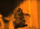 Video de Where Bluebirds Fly de Radiohead