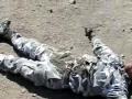 Mejor video you-tube tortura y crueldad en leon guanajuato