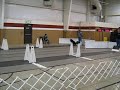 Flyball Singles