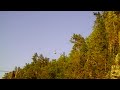 Eagle Canyon Zip Line