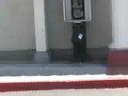 tagging rancho