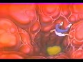 Anti-Drug Cartoons are Kinda Freaky