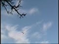 Hobbyzone Super Cub On the Lake