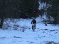 CRF 450 in snow You won\ CRF 450 in snow You won\