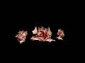 Spore Creature Creator Video