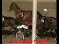 SUNDSVALL OPEN TROT 2008