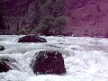 Rafting Coruh