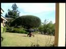 Capoeria/Bboy Strength training