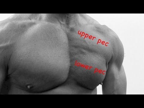 how to train square chest
