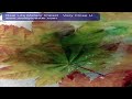 Real Life Meteor Impact   Very Close U..mov