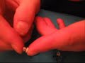Micro-T Custom shim diff with copper wire