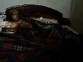 Bullmastiff video